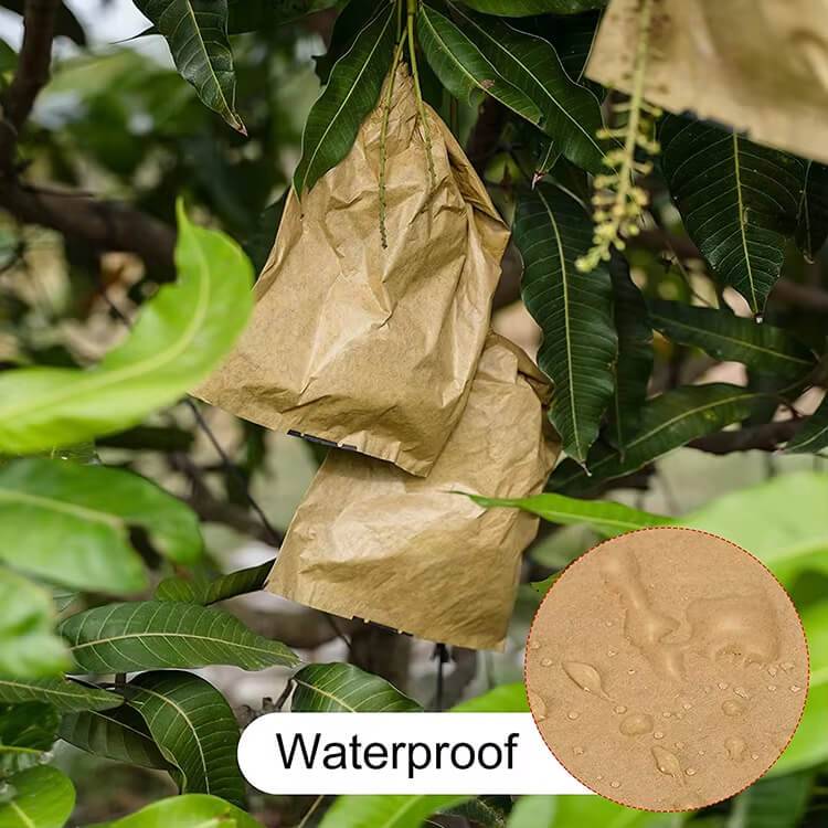 fruit protection bag